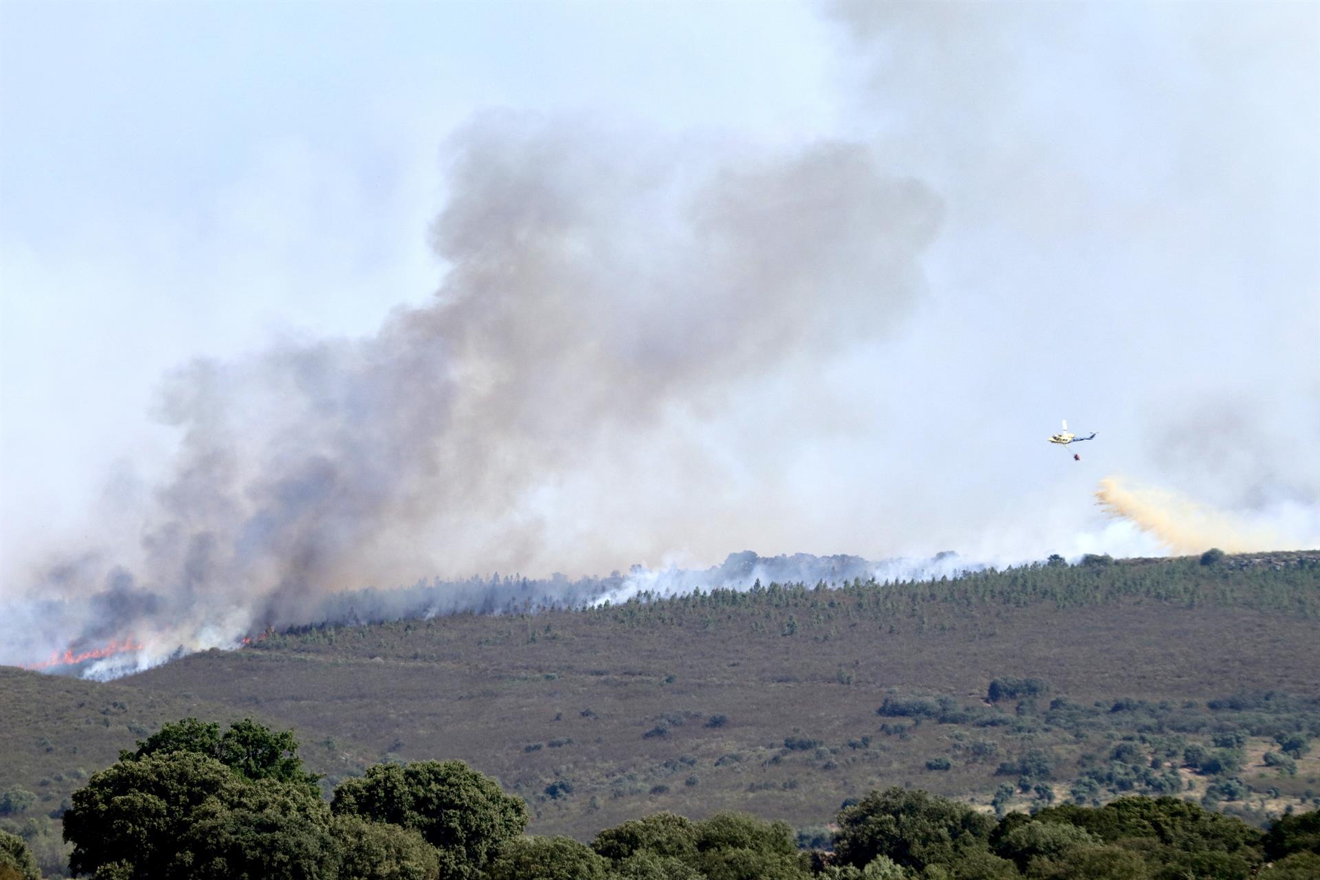 Imagen de archivo de un incendio reciente en la provincia de Zamora. EFE/Mariam A. Montesinos