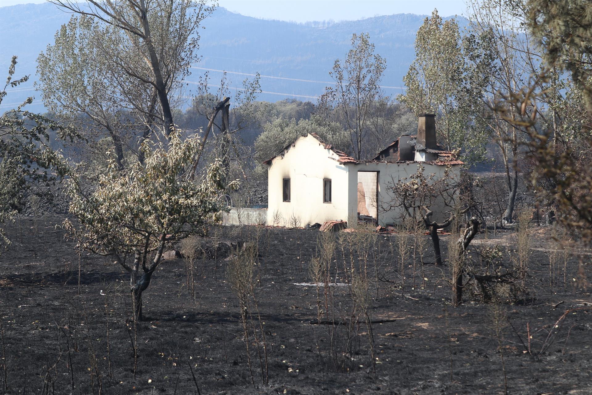 Imagen de archivo. Vista de la zona de San Martín de Tábara (Zamora), afectada por el incendio forestal de Losacio (Zamora). EFE