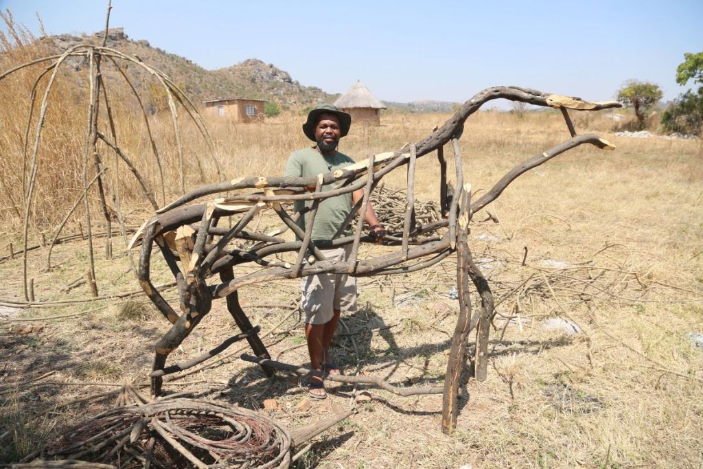 artistas zimbabue plantas invasoras