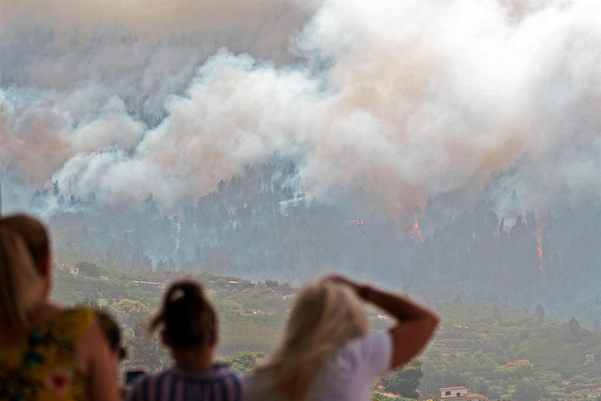 Imagen de archivo del incendio forestal declarado el pasado mes de julio en el municipio de Los Realejos y dado hoy por extinguido. EFE/ Ramón De La Rocha