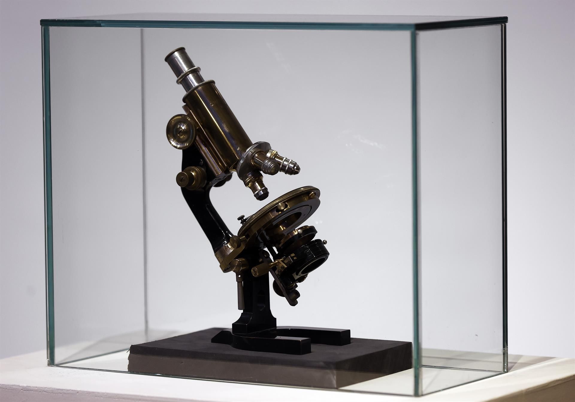 El Planetario de Pamplona y el Museo de Navarra acogen desde este miércoles y hasta el próximo 28 de septiembre la exposición “La mirada de Cajal/Cajalen begirada”. EFE/ Jesus Diges

