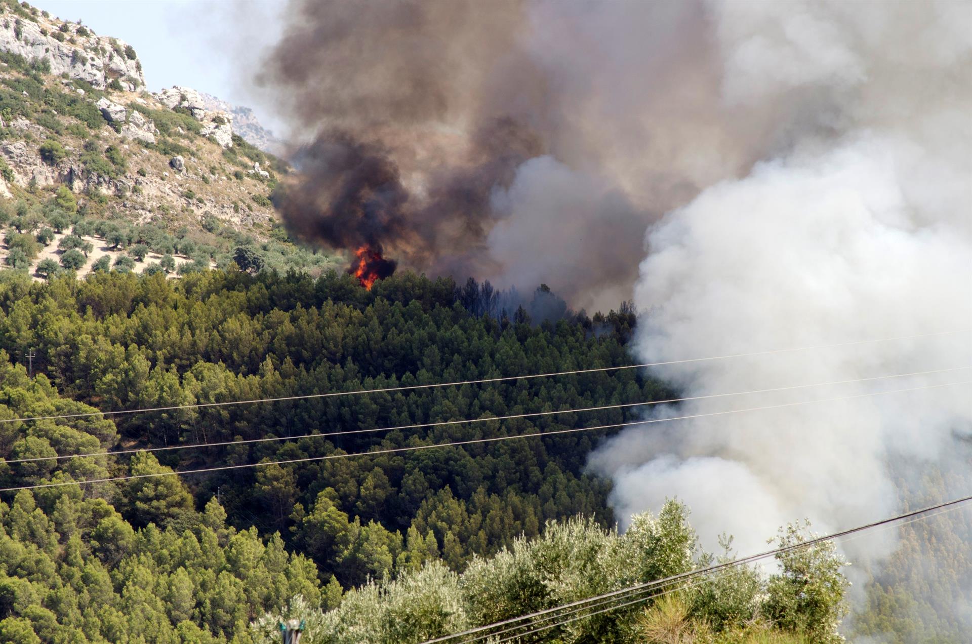 Imagen de archivo de un incendio forestal en Jaén. EFE/Archivo
