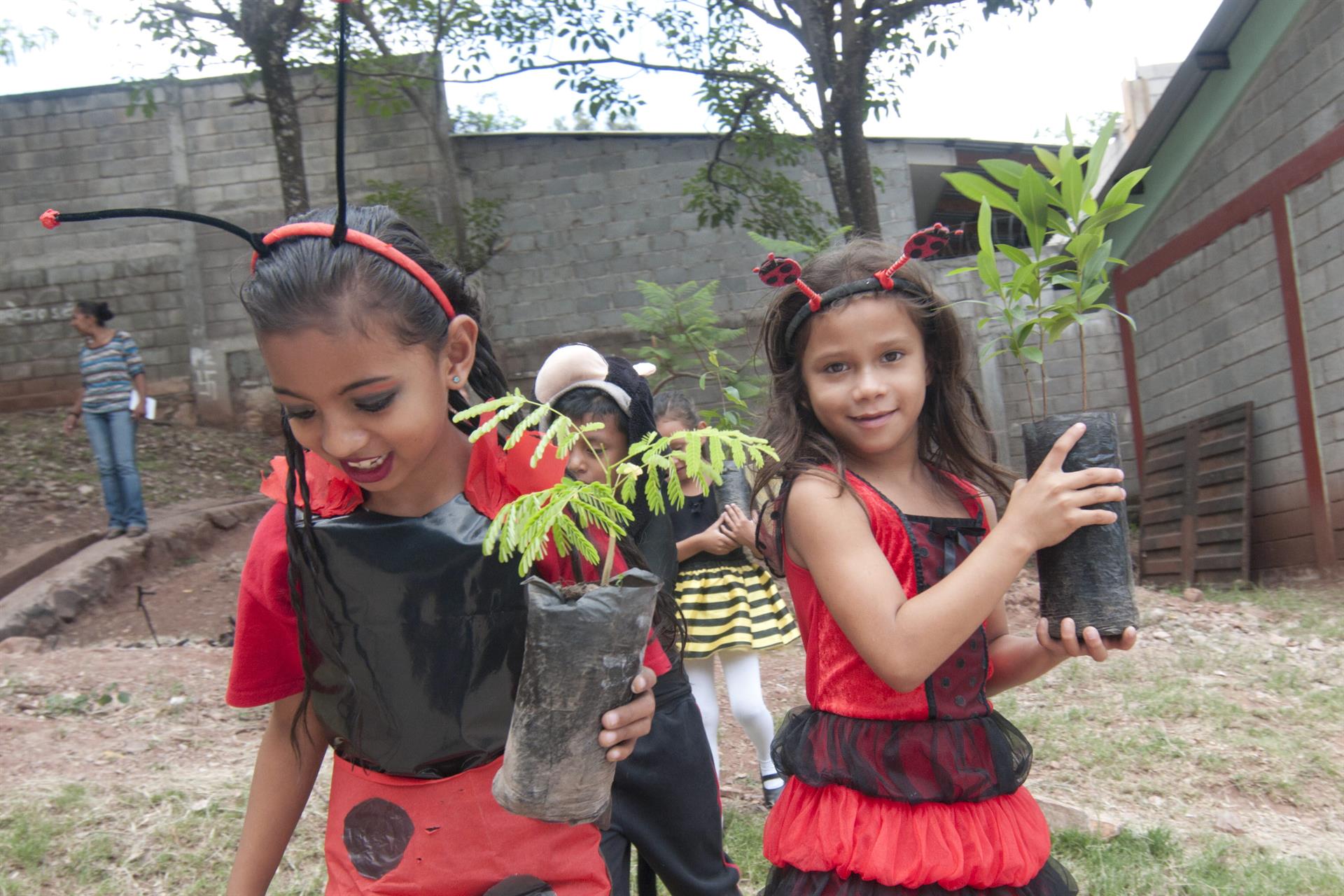 Fotografía de archivo que muestra a niños y niñas de la una escuela sembrando diferentes especies de árboles. EFE/Gustavo Amador