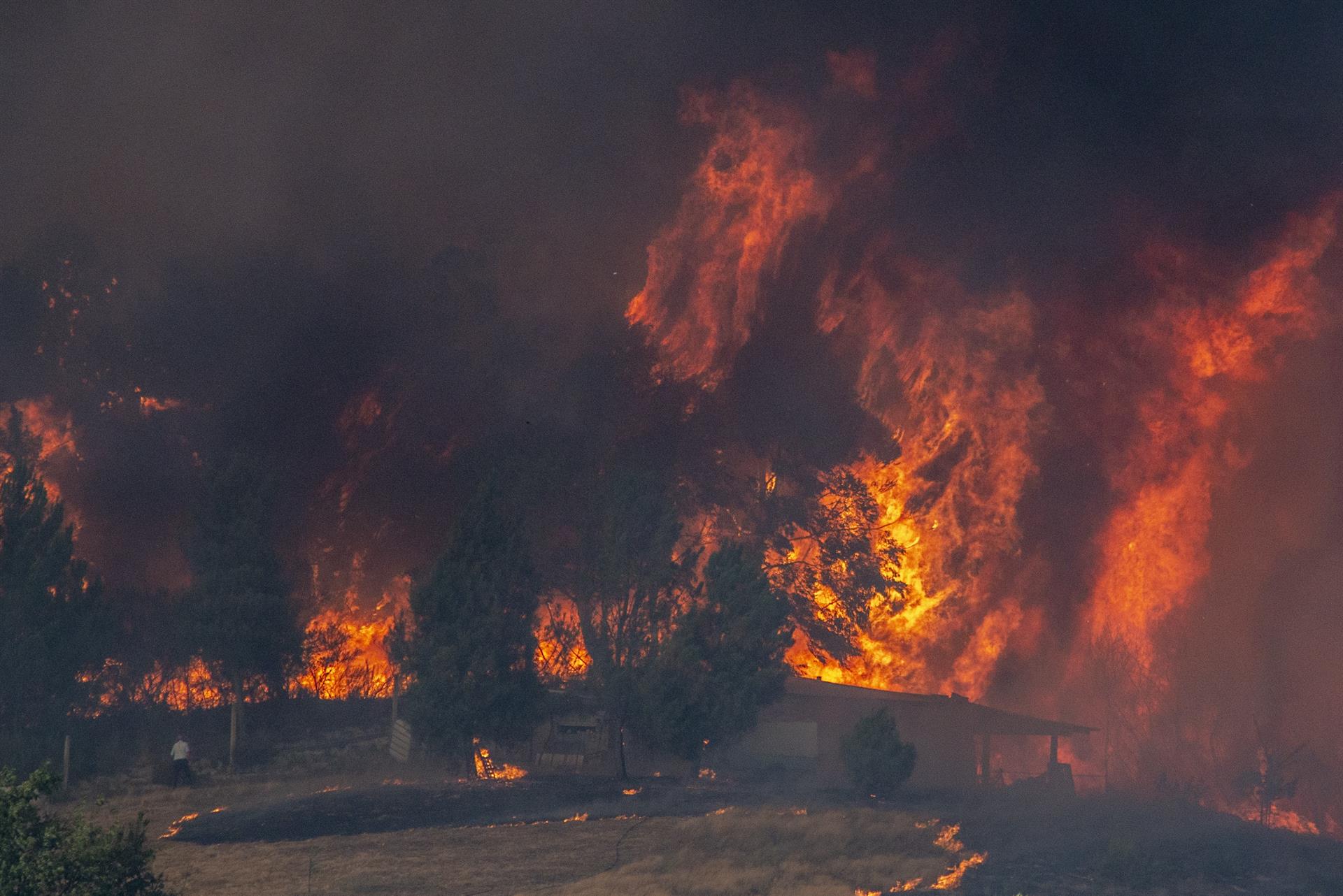 Imagen de archivo de las llamas del incendio forestal de Verín (Ourense). EFE/Brais Lorenzo