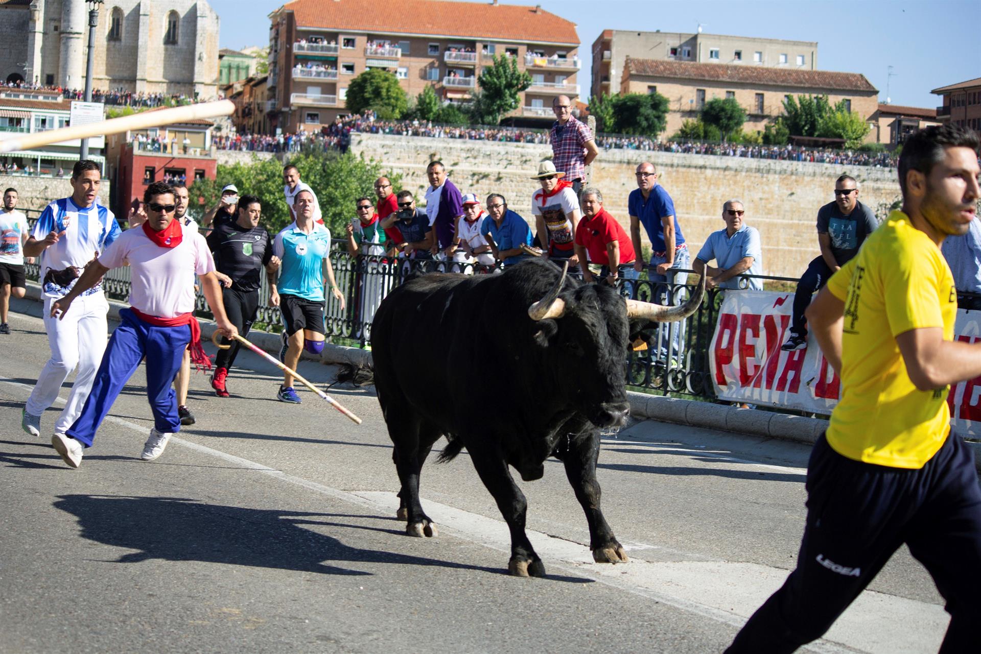Imagen de 2018 de la localidad vallisoletana de Tordesillas celebrando el tradicional festejo del Toro de la Vega. EFE