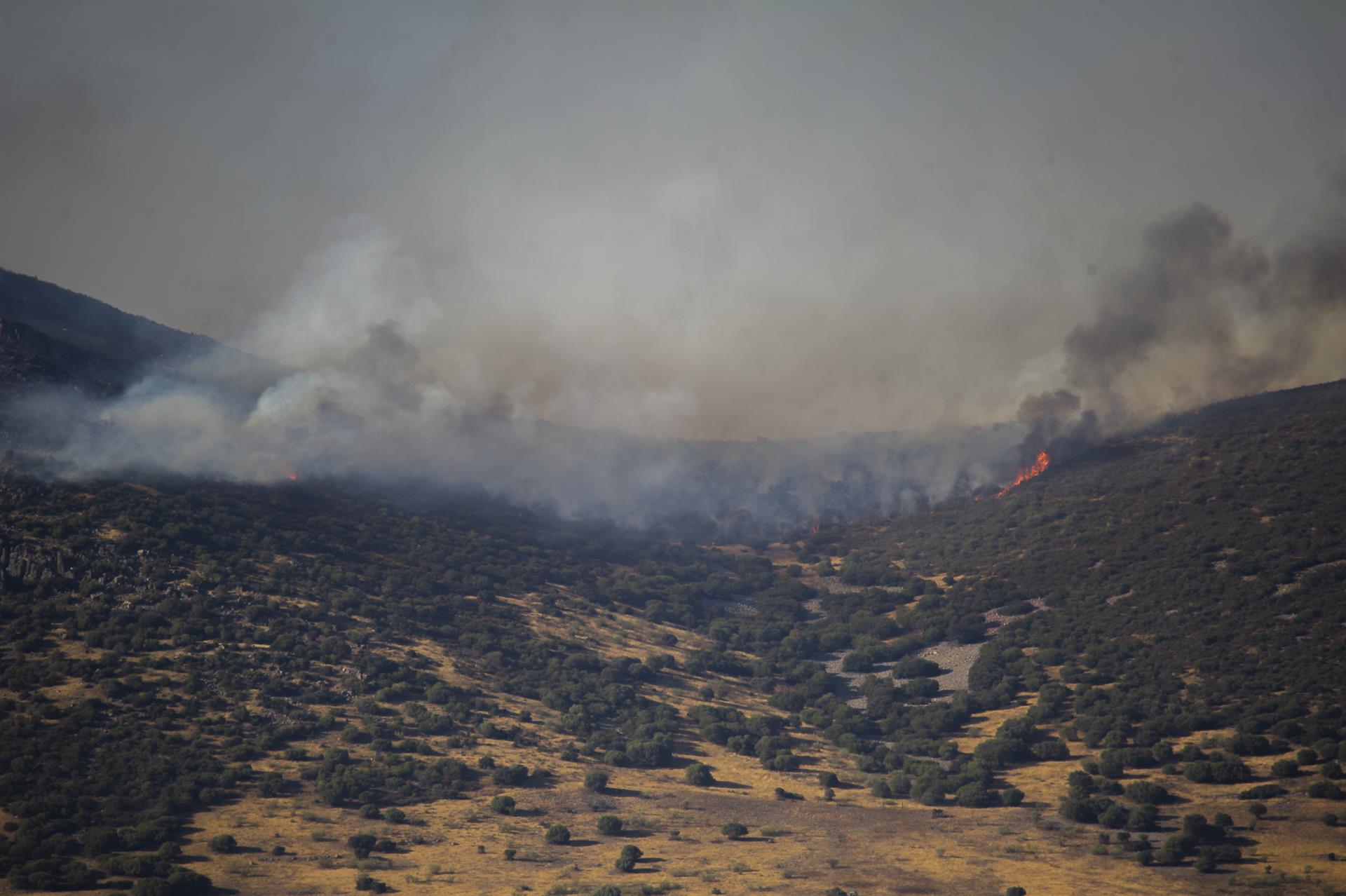 Imagen de archivo del incendio declarado el pasado mes de agosto en la sierra de Malagón (Ciudad Real). EFE/Jesús Monroy/Archivo