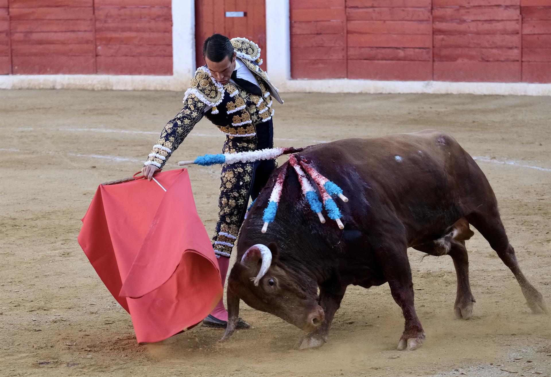 El diestro José María Manzanares da un pase con la muleta al primero de los de su lote, durante la corrida de la Feria de Calahorra celebrada este miércoles en la plaza de toros de la localidad riojana. EFE/Abel Alonso

