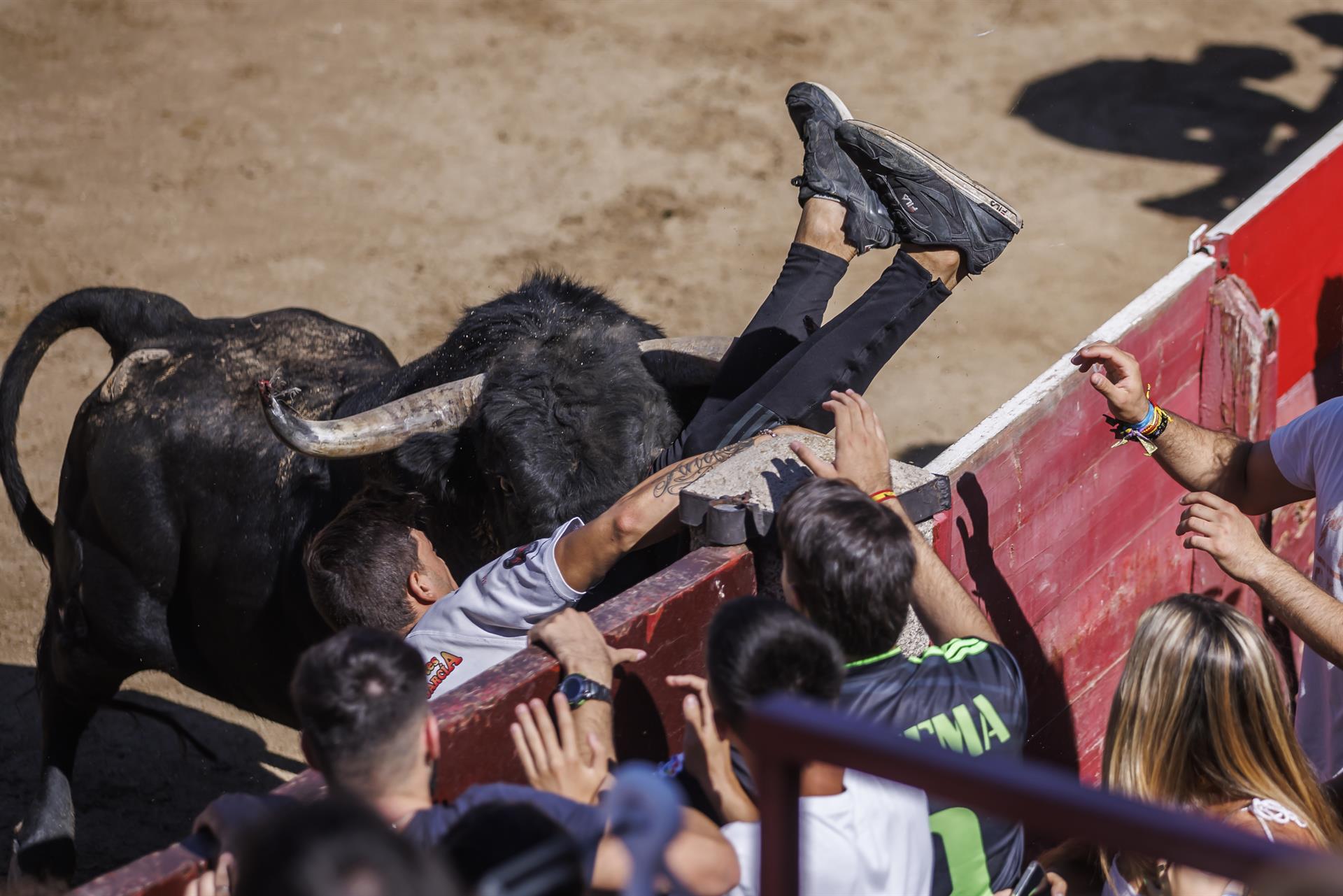 El sexto encierro de San Sebastián de los Reyes se ha saldado con un herido por contusión en el costado -un pastor que guiaba a los toros en el encierro- y un hombre que ha sido corneado en el muslo durante la suelta de reses posterior al encierro. EFE/Rodrigo Jimenez