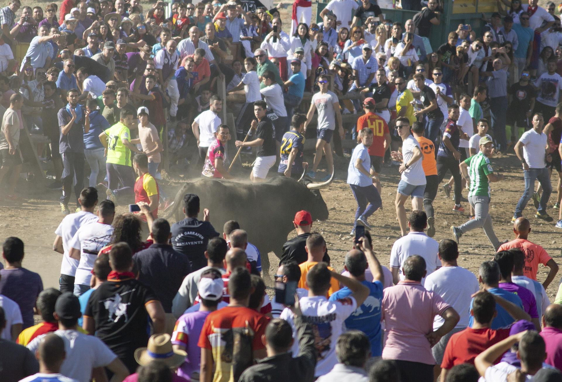 Imagen de archivo de la celebración del Toro de la Vega en Tordesillas (Valladolid).EFE