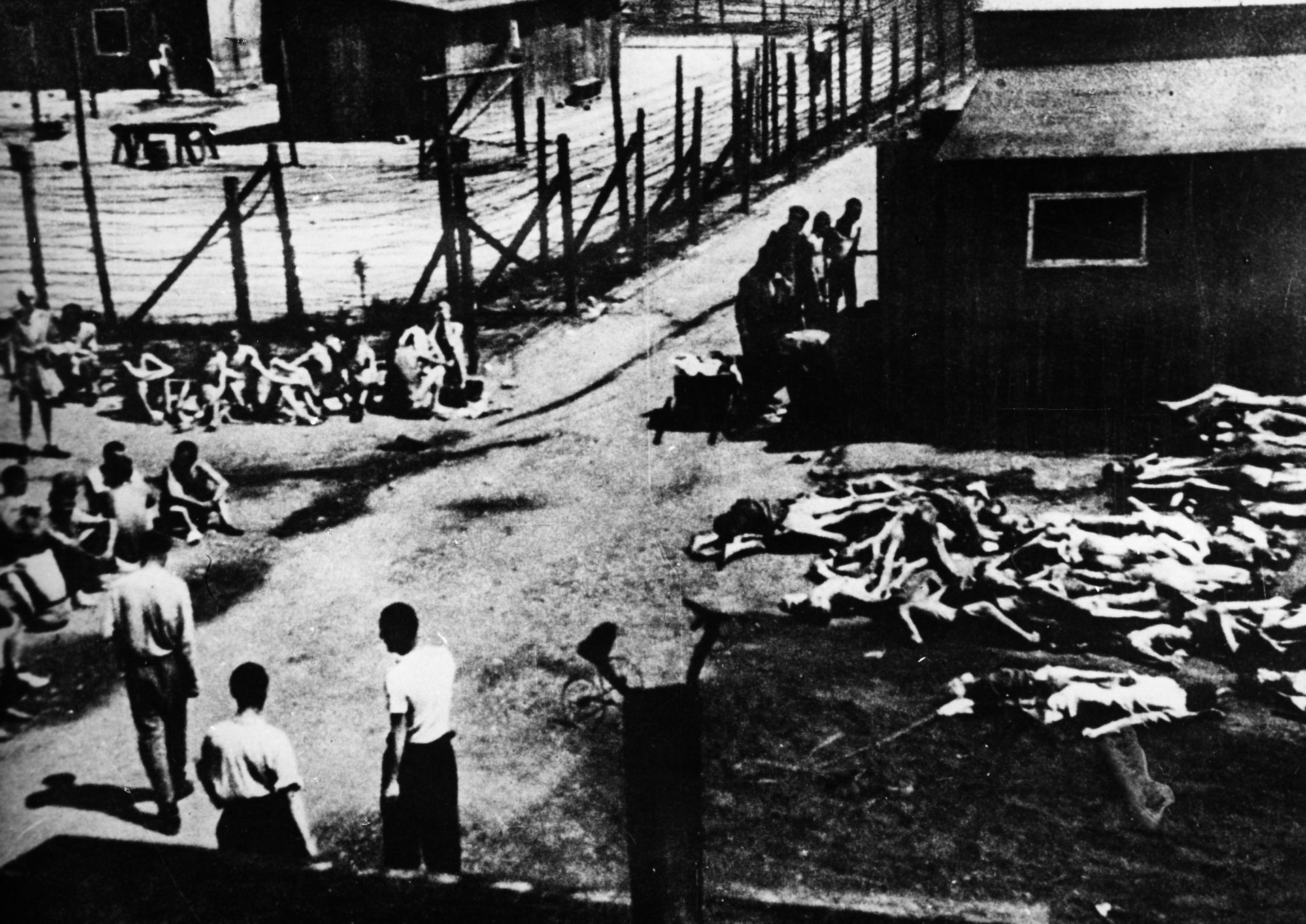 Decenas de prisioneros aún vivos esperan junto a los cadáveres de sus compañeros en el campo de concentración de Mauthausen. EFE.