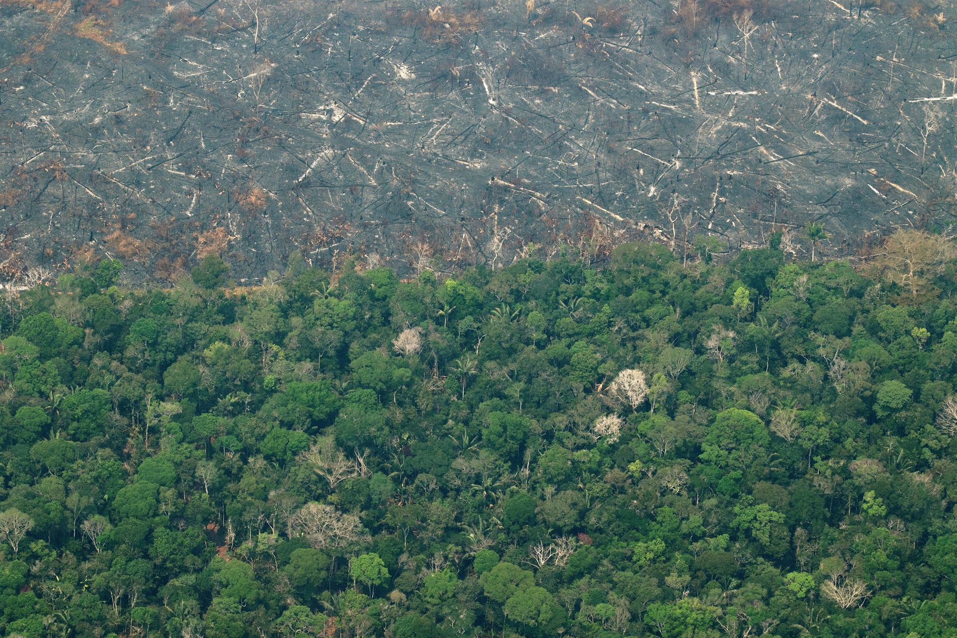 Vista aérea de áreas deforestadas de la selva amazónica de Porto Velho, Rondonia (Brasil), en una fotografía de archivo. EFE/Joédson Alves