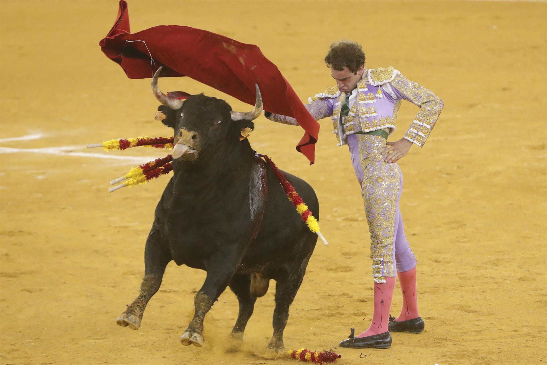 El diestro Víctor Hernández da un pase durante el festejo taurino de la Feria del Pilar celebrado hoy lunes en la plaza de toros de La Misericordia en Zaragoza. EFE/Javier Cebollada.