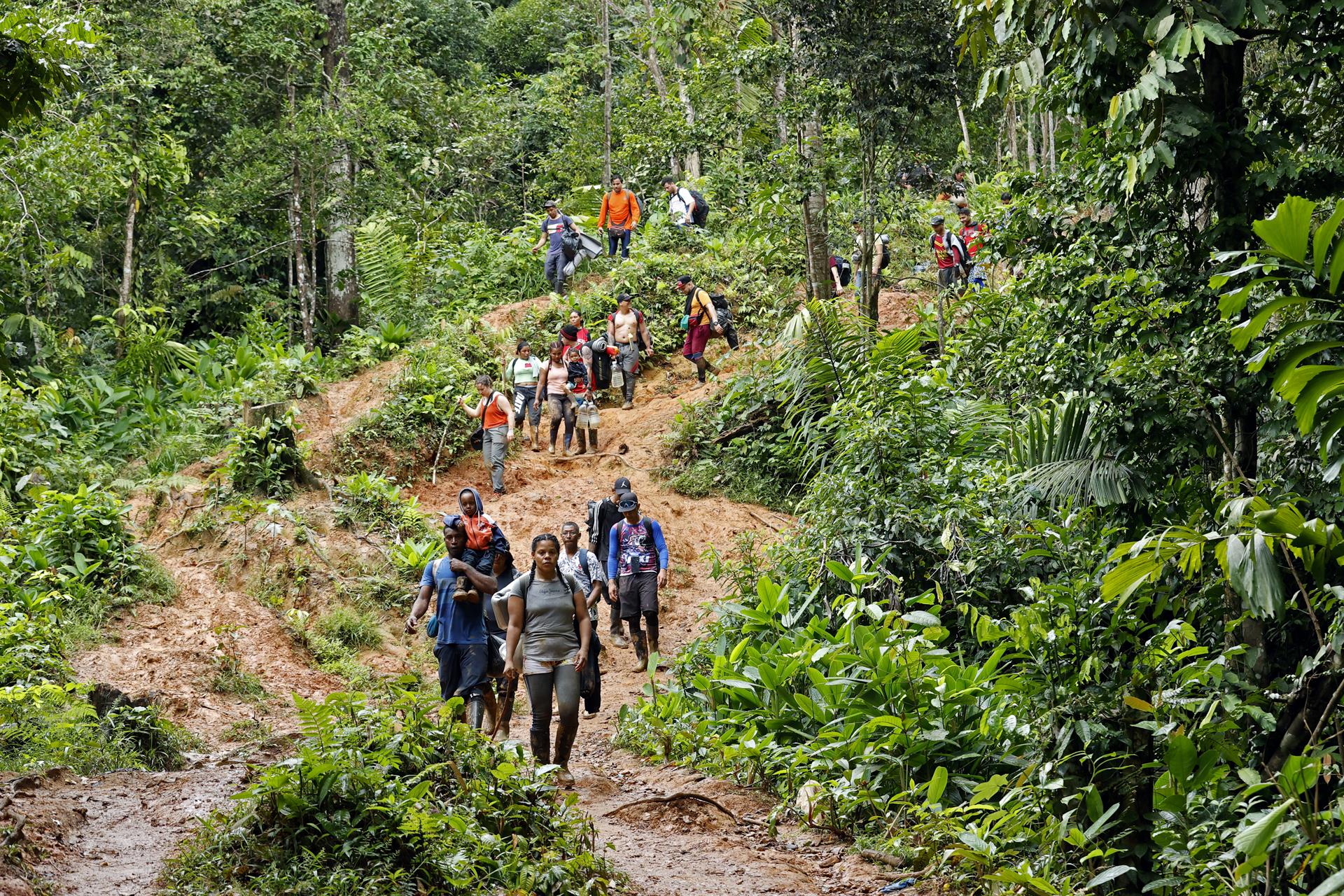 Migrantes venezolanos suben una montaña con la intención de llegar a Panamá, el 8 de octubre de 2022, en el Tapón del Darién (Colombia). EFE/Mauricio Dueñas Castañeda