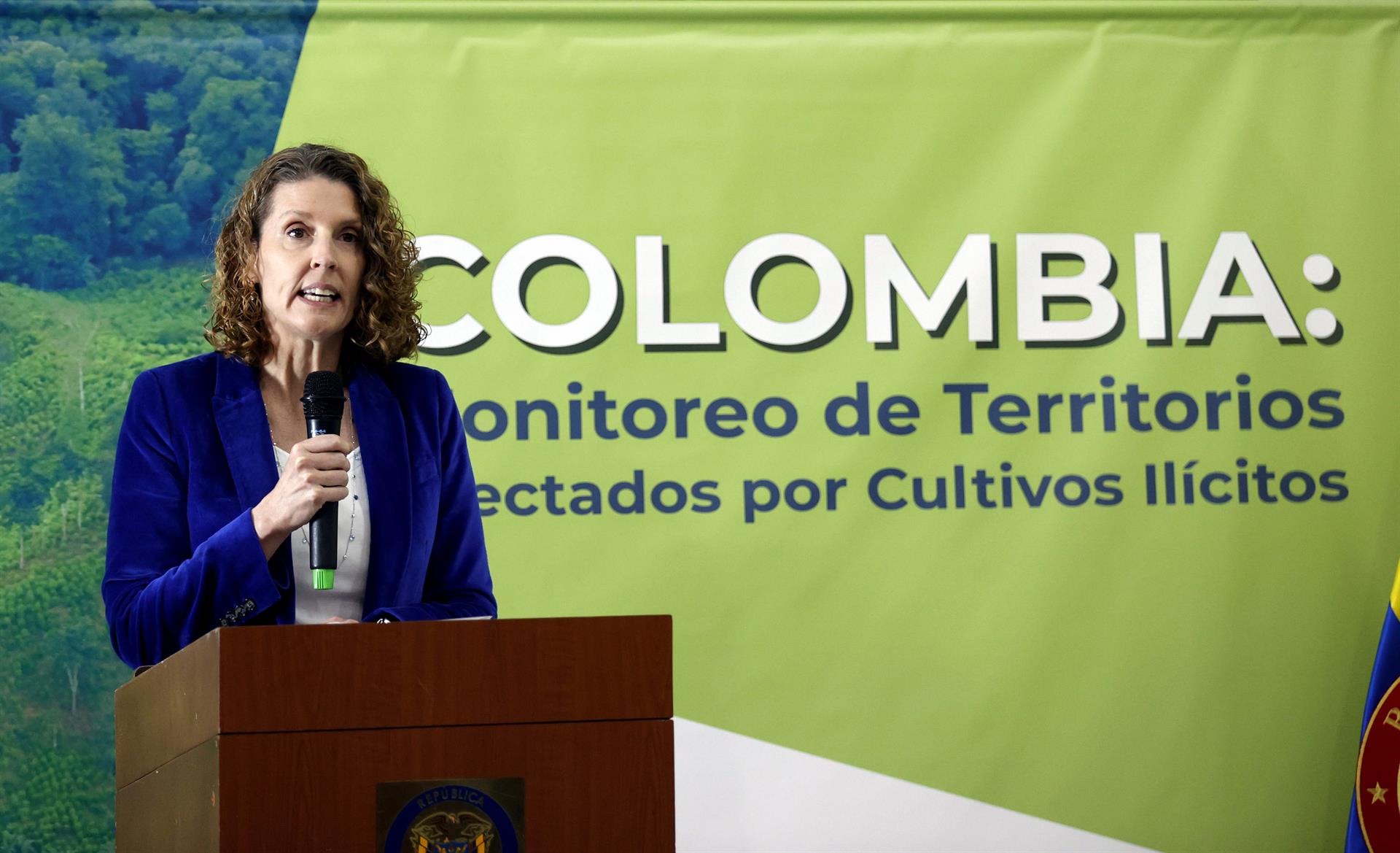 La directora regional de UNODC para la región Andina y el Cono Sur, Candice Welsch, habla durante una rueda de prensa, hoy en Bogotá (Colombia). EFE/Mauricio Dueñas Castañeda