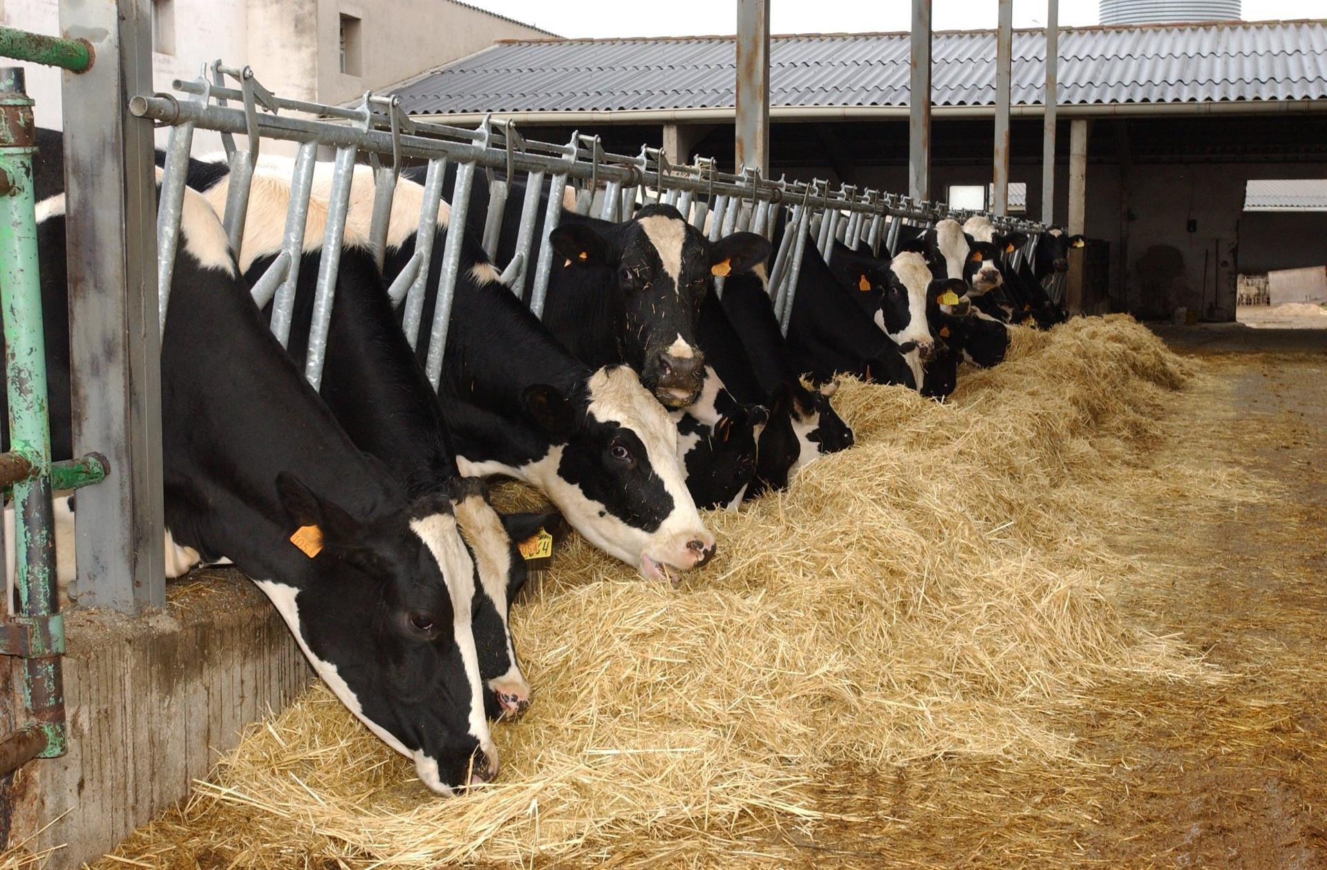 ganaderos leche industria