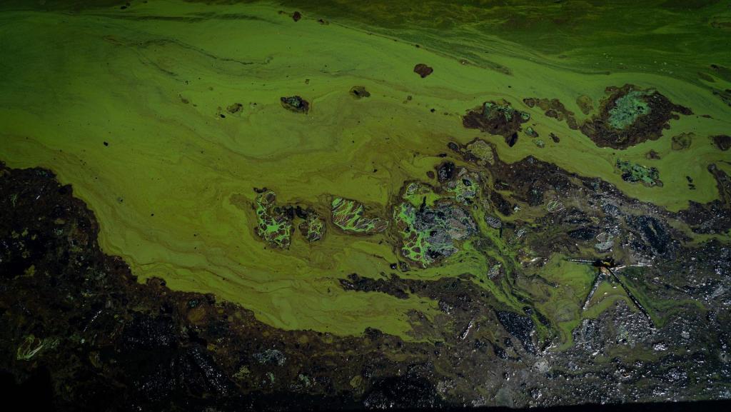 Fotografía de manchas de petroleo el 20 de octubre del 2022, en el Lago de Maracaibo (Venezuela). EFE/Henry Chirinos
