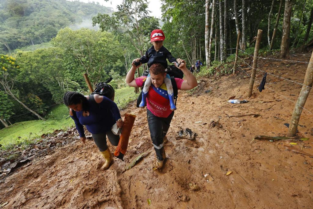 Migrantes venezolanos suben una montaña con la intención de llegar a Panamá, el 8 de octubre de 2022 en el Tapón del Darién (Colombia). EFE/Mauricio Dueñas Castañeda
