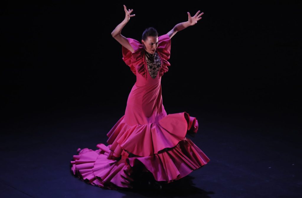 flamenco Bien de Interés Cultural