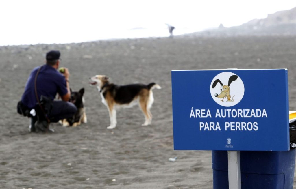 Un hombre pasea con su perro, cuando cambiarán los requisitos para tener perro en España