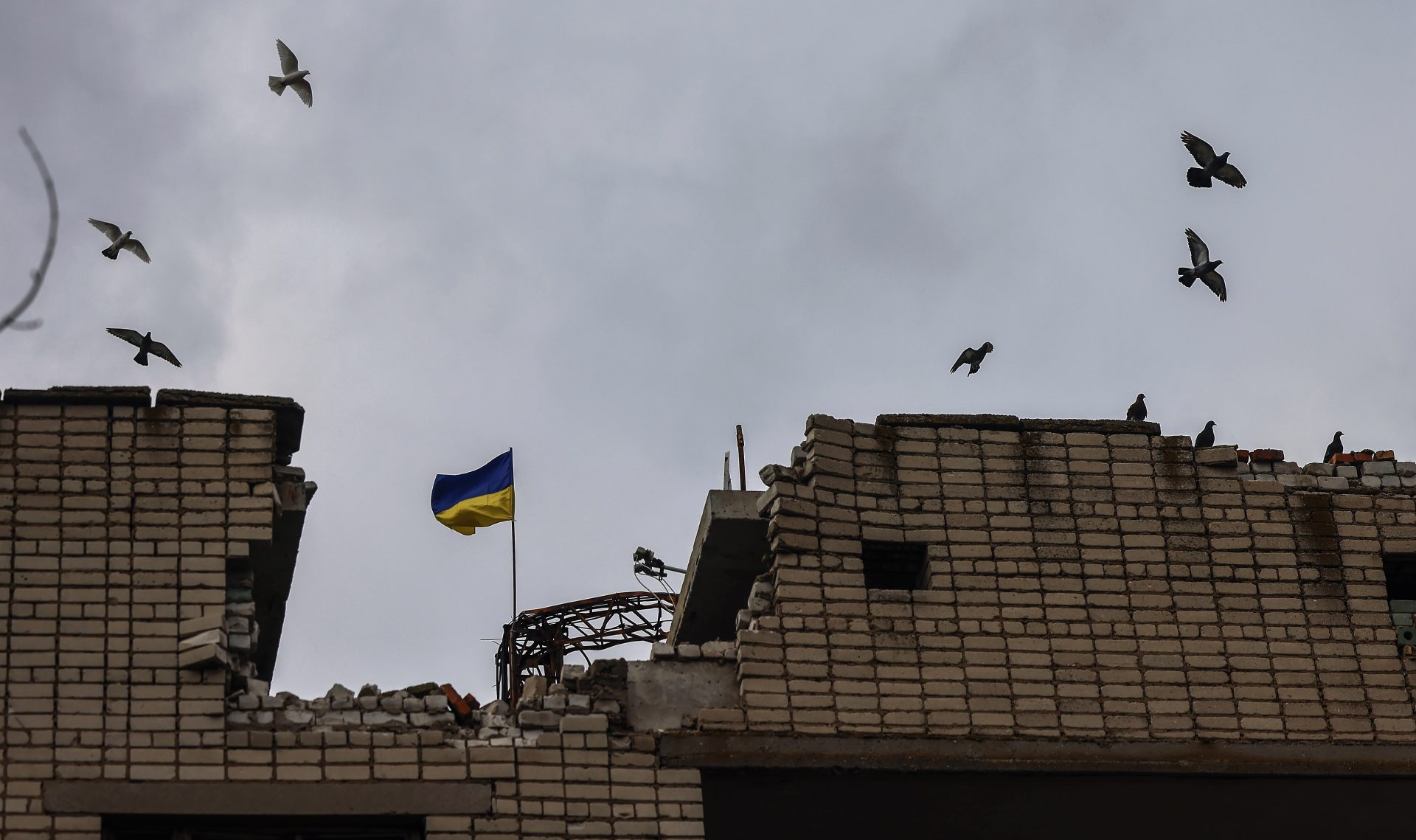 La bandera ucraniana vuelve a ondear en un edificio público en Jersón.