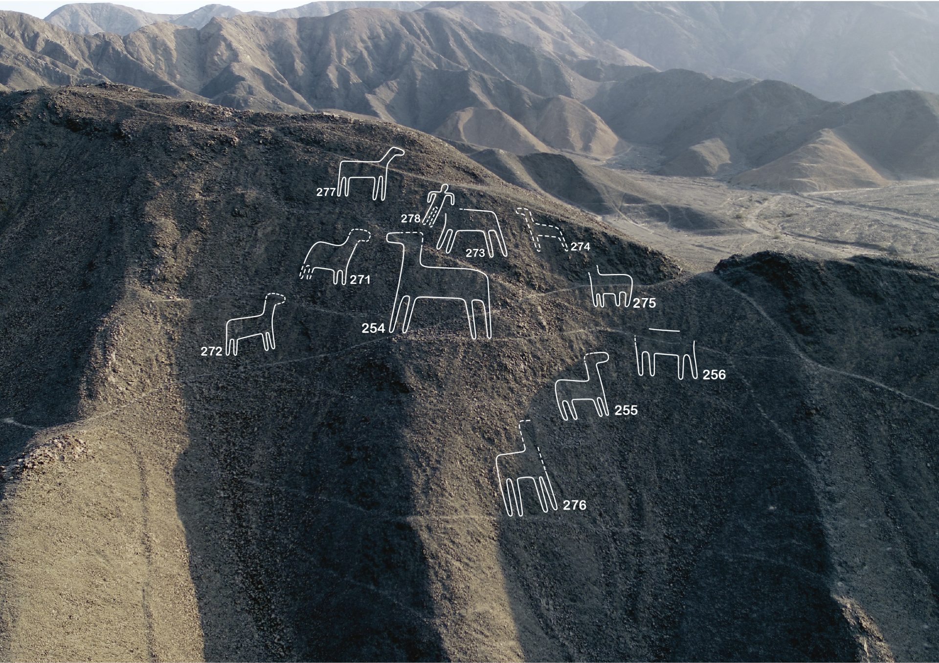 Investigadores japoneses descubren 168 nuevas figuras en Nazca