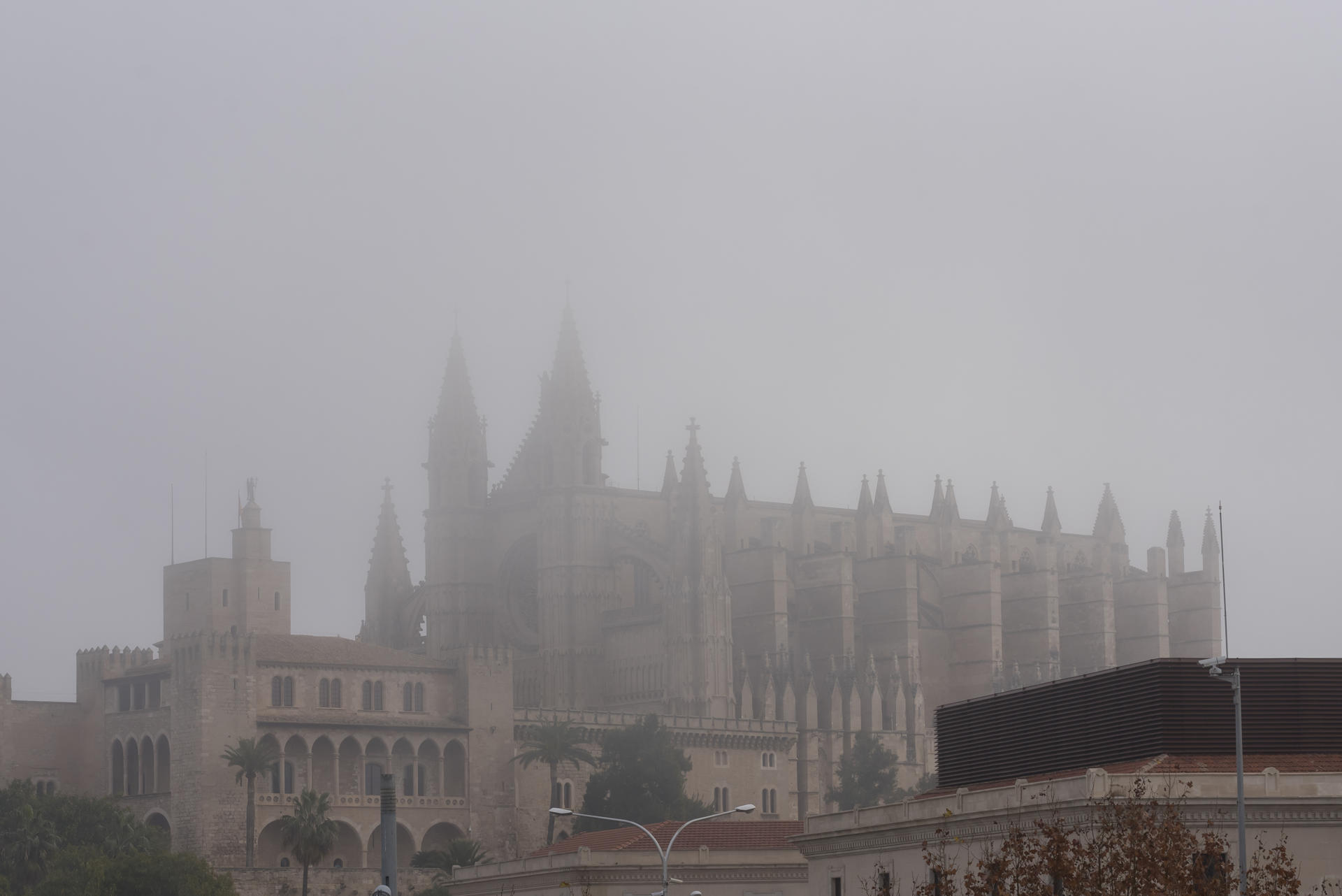 La Catedral de Palma ha amanecido este miércoles cubierta por la niebla en Palma de Mallorca. EFE/ Atienza