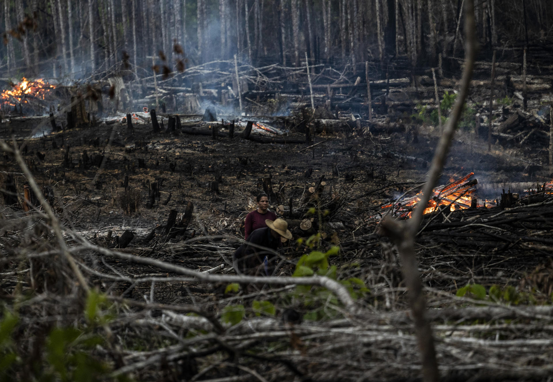 Fotografía de archivo fechada el 6 de septiembre de 2022 que muestra un bosque quemado en Careiro Castanho, Amazonas (Brasil). EFE/ Raphael Alves