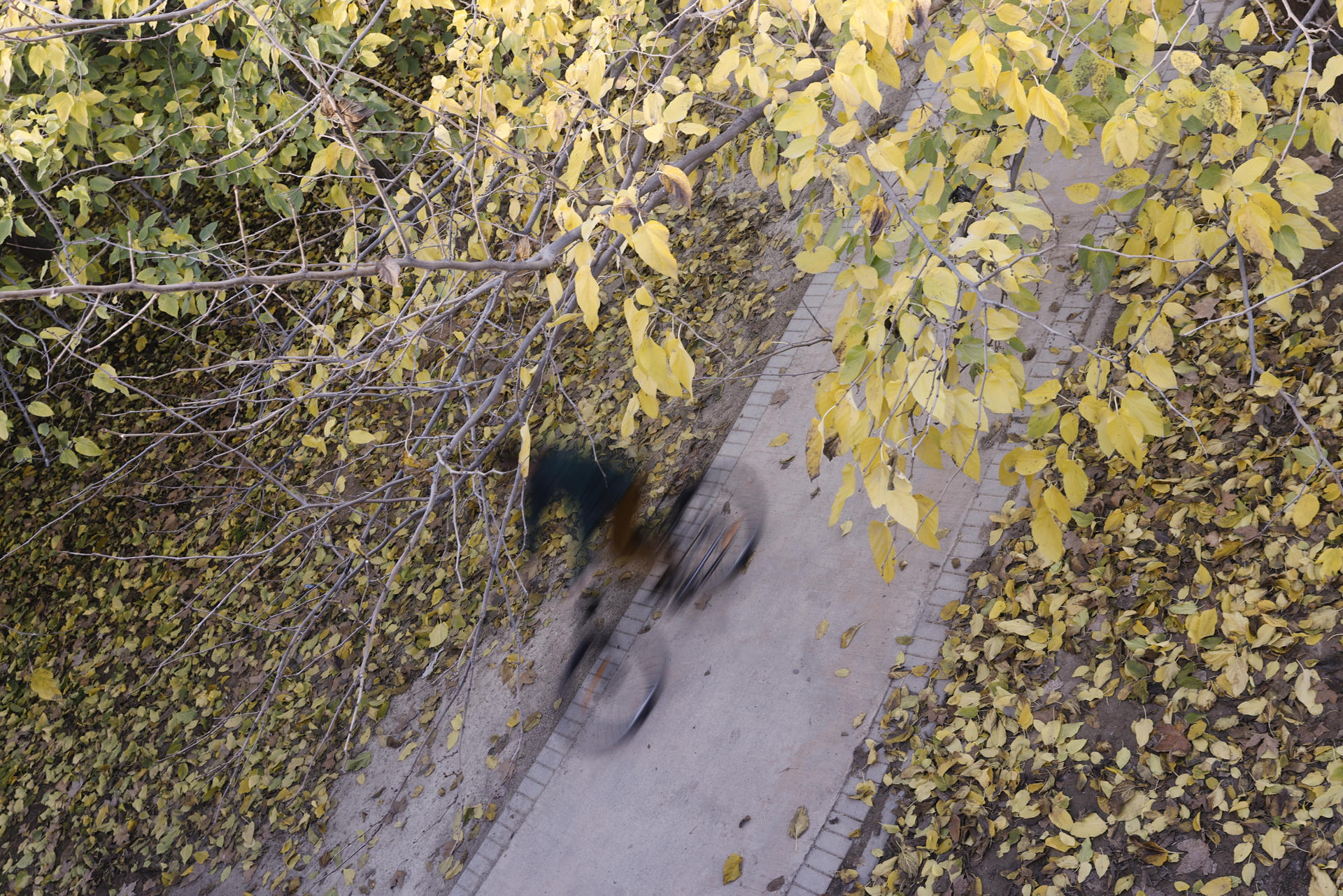 En la imagen de archivo, un ciclista hace ejercicio en el Jardín del Turia. EFE/ Kai Forsterling