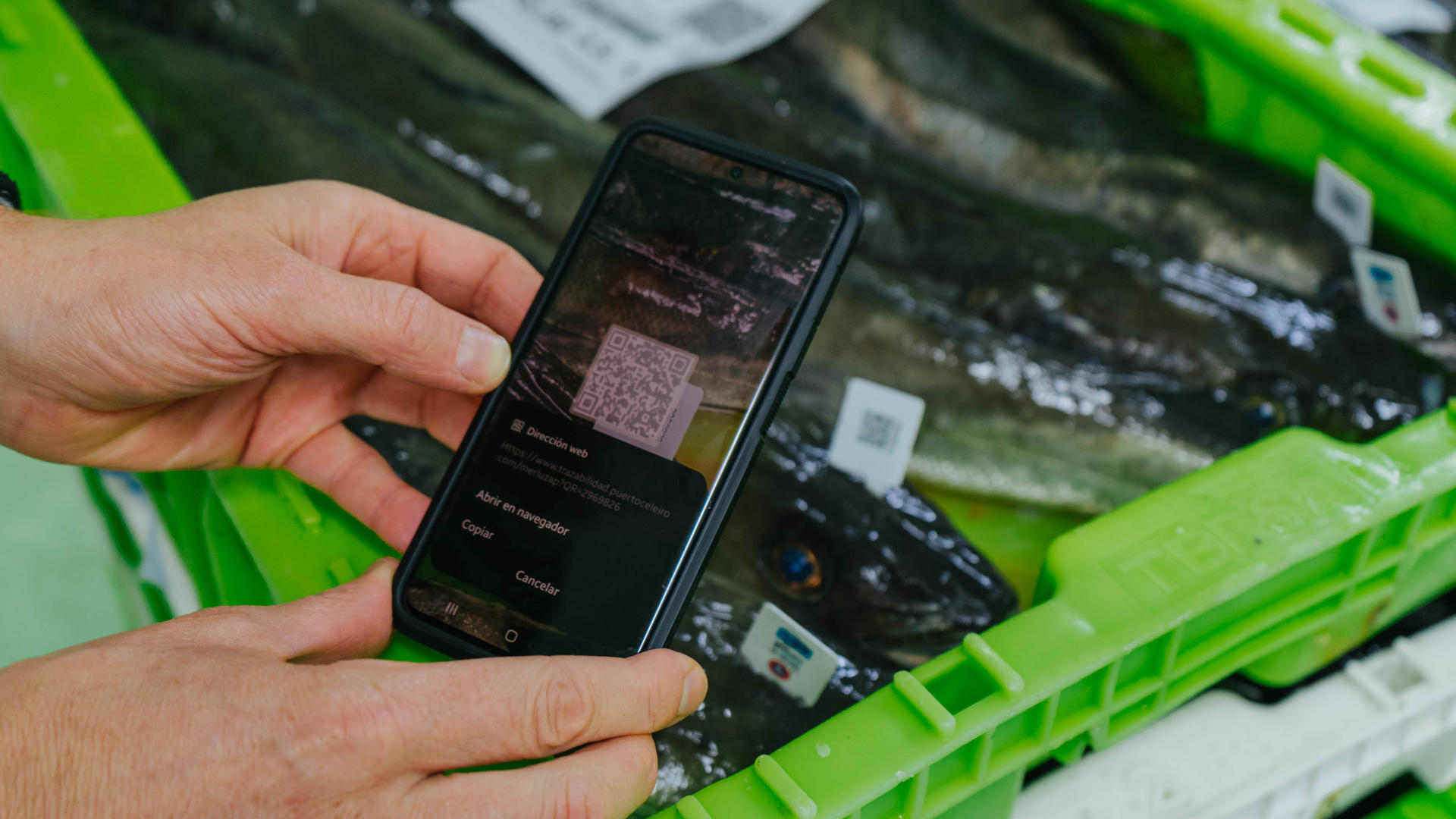 El Puerto de Celeiro (Lugo), que descarga un 30 % de la cuota española de merluza, es pionero en aplicar tecnologías digitales para garantizar la fiabilidad del origen y permitir que los consumidores conozcan mediante un código QR en la etiqueta su recorrido desde su captura hasta la pescadería. EFE/Eva González Cobos/Lãberit