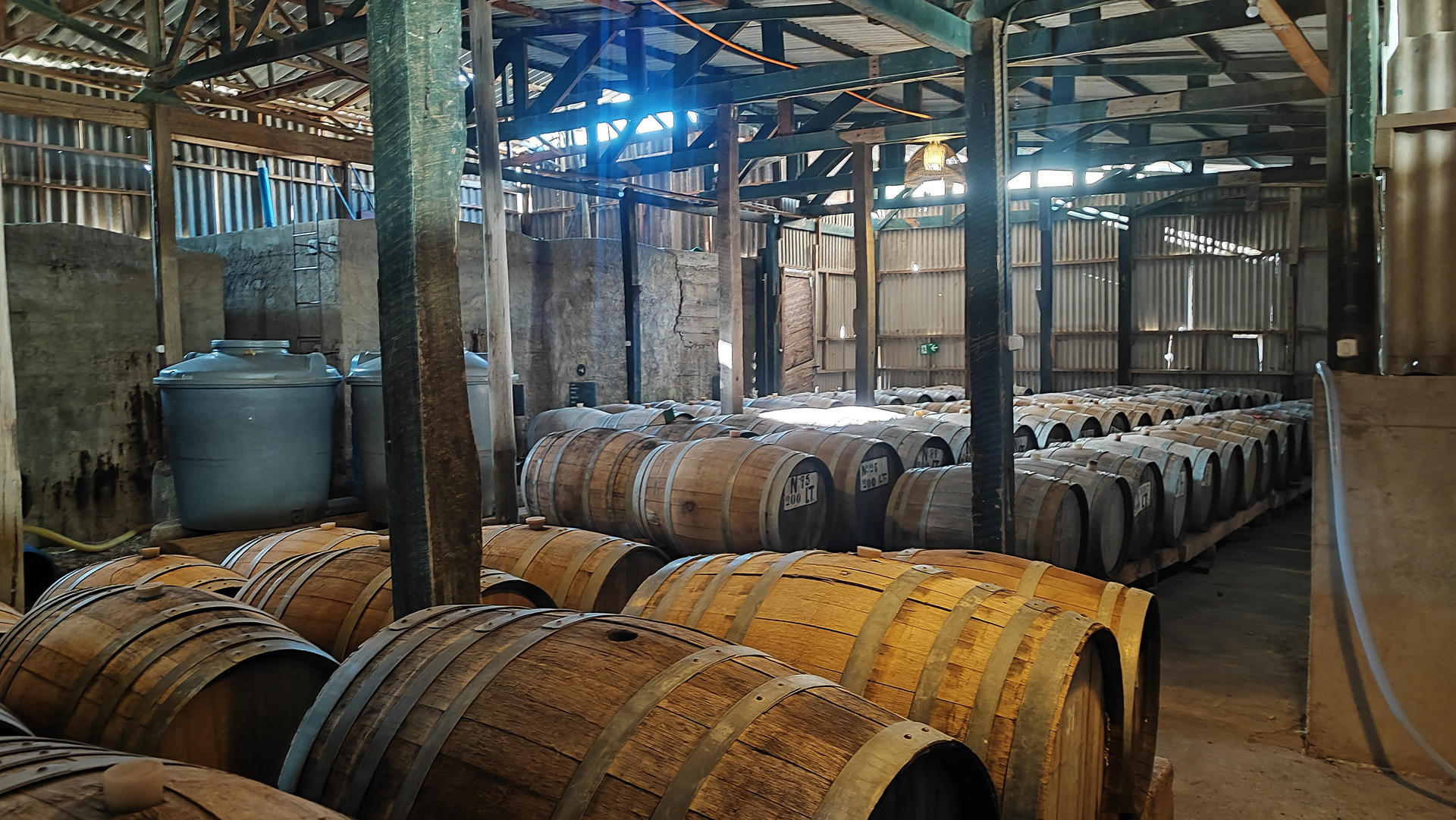 Fotografía de barriles en destilaría pisquera de Chañaral de Caren, en la comuna de Monte Patria, Valle de Limarí, el 15 de diciembre, en Ovalle región de Coquimbo (Chile). EFE/Iñaki Martinez