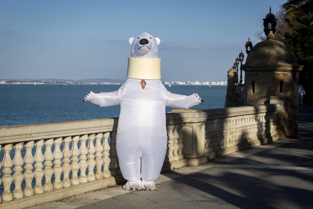 El oso "perjudicado" que se hizo viral en la Cabalgata de Reyes de Cádiz del año pasado, ha vuelto, esta vez con un collarín, a las calles de la ciudad para renovar, y hasta multiplicar, su éxito.