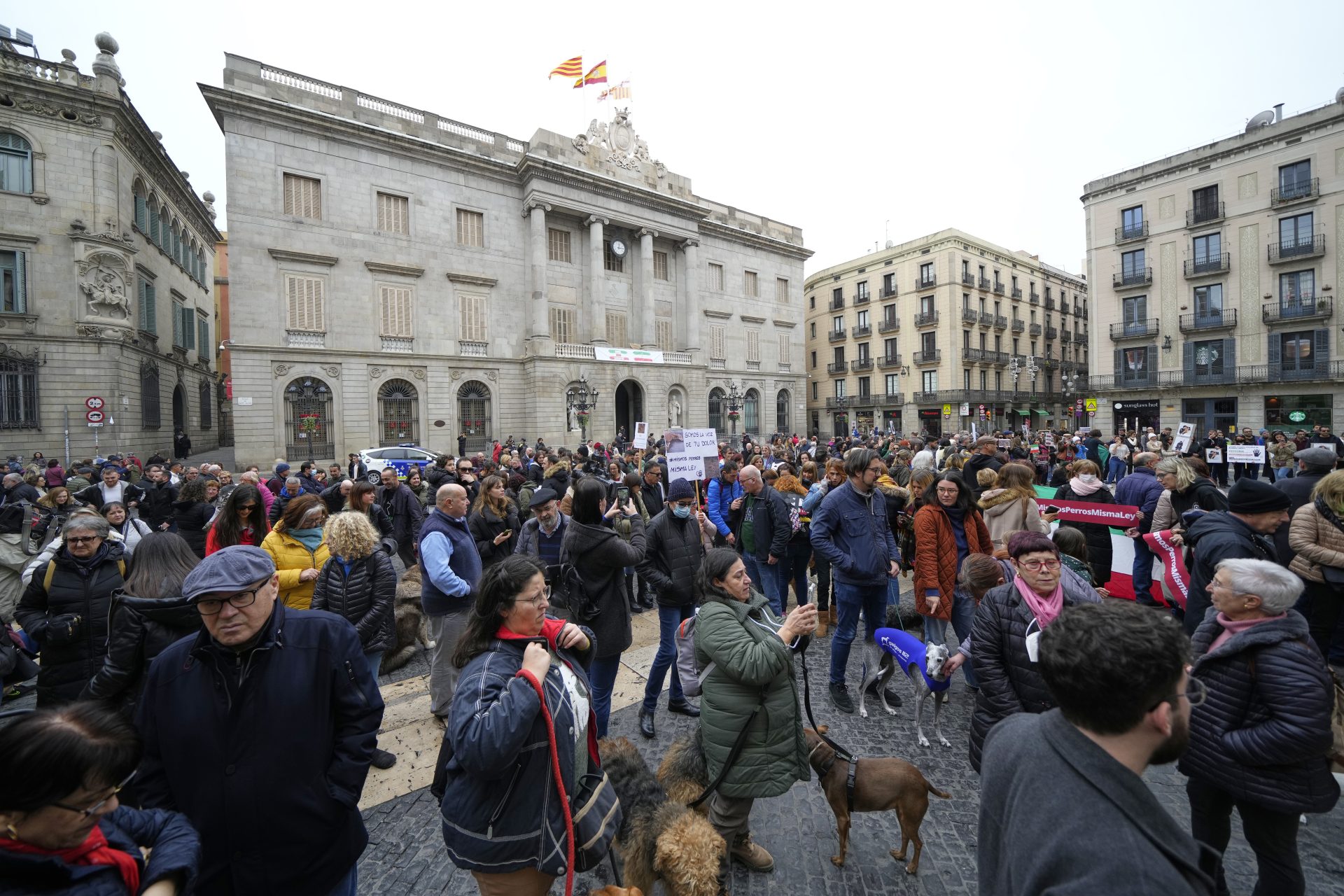 Vista de la concentración de protesta organizada por el Partido Animalista PACMA este domingo en Barcelona, contra la exclusión de los perros de caza de la Ley de Protección Animal en la plaza de Sant Jaume.