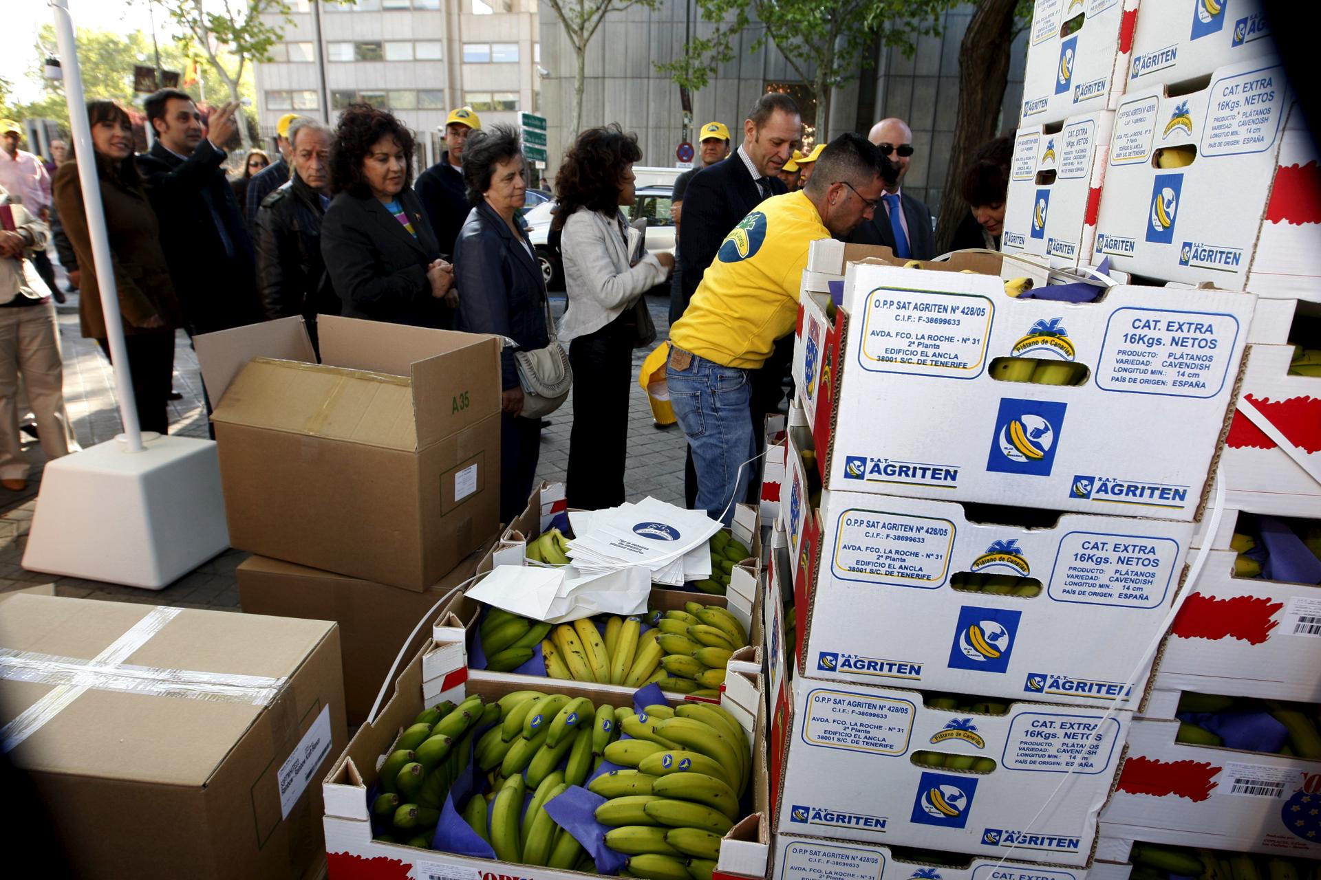 Imagen de archivo de una concentración de productores de plátano de Canarias ante la sede del Ministerio de Agricultura para exigir compensaciones al sector. EFE/Manuel H. de León