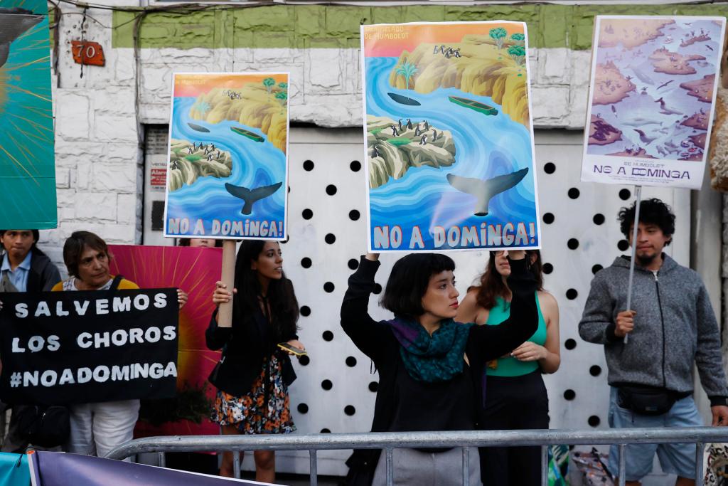 Personas se manifiestan hoy en contra del controvertido megaproyecto Dominga para la extracción de concentrado de hierro y cobre, afuera del ministerio de Medio ambiente, en Santiago (Chile). EFE/Elvis González
