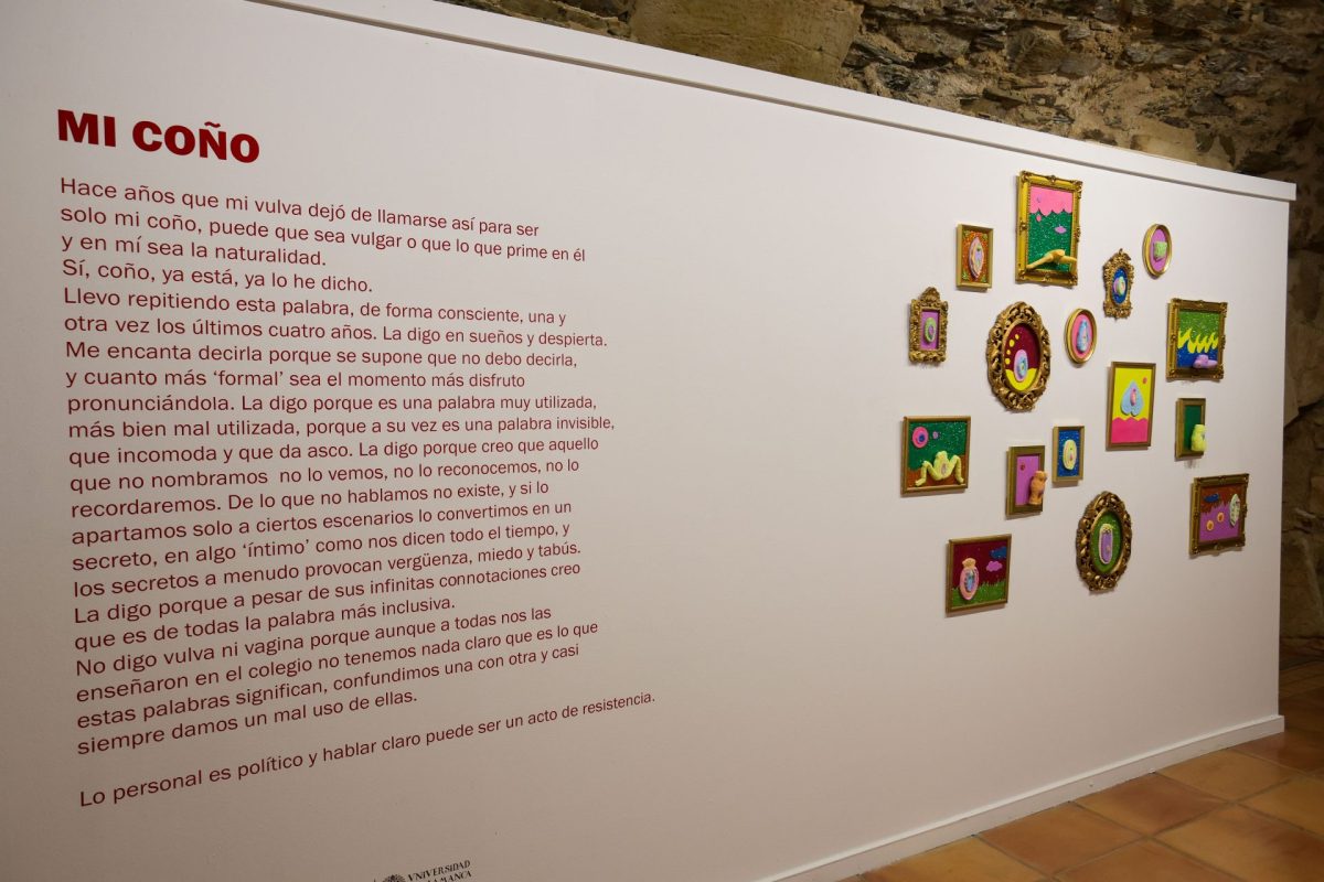 Vista de varias de las piezas que forman parte de la muestra "Xoxología", de la artista Laura Sánchez, en Salamanca.