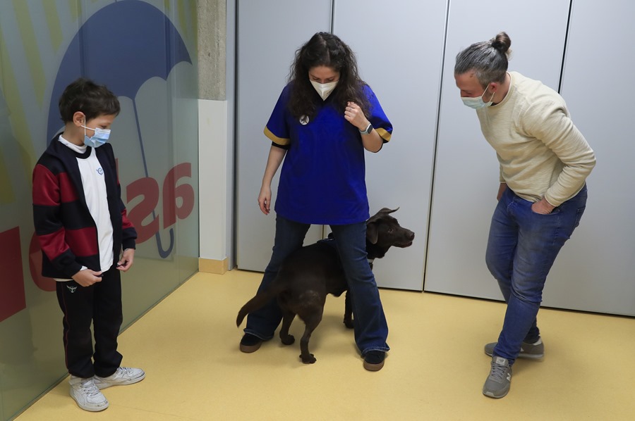 El psicólogo y entrenador canino, Ignacio Clemente (d); la neuropsicóloga Alicia Moraleda (c) y Benja (i), paciente de 10 años. Terapia con perros para ayudar al cáncer infantil