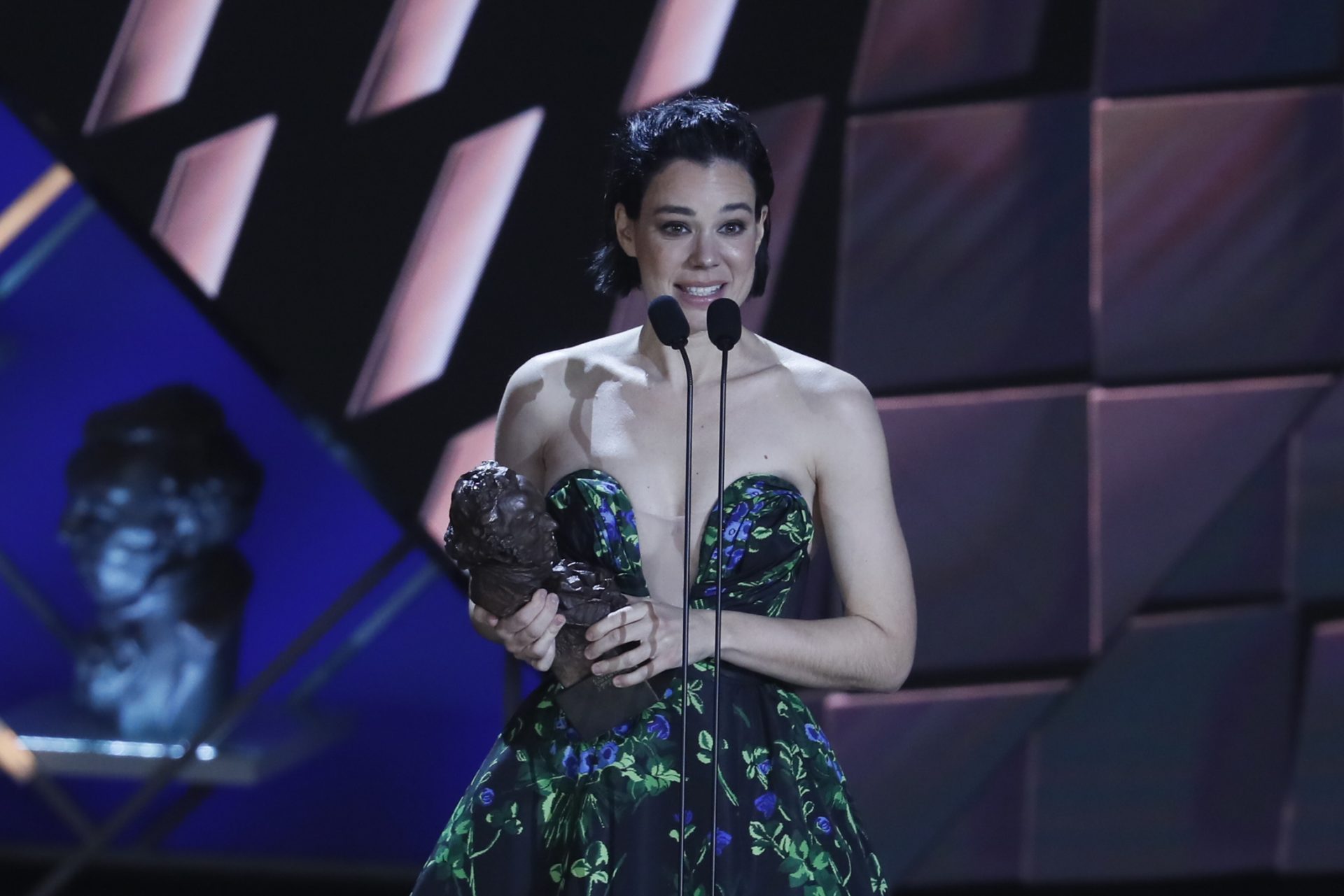 Alauda Ruiz de Azúa, Goya por 