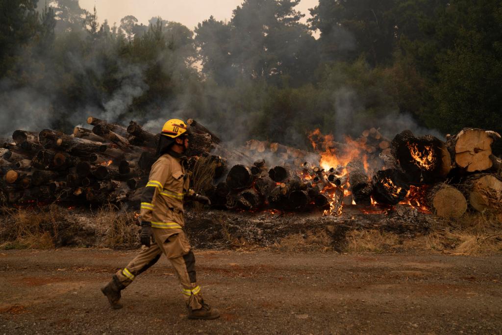 Bomberos trabajan para extinguir un incendio, este 7 de febrero de 2023, en Santa Juana, región de Biobío (Chile). EFE/ Adriana Thomasa

