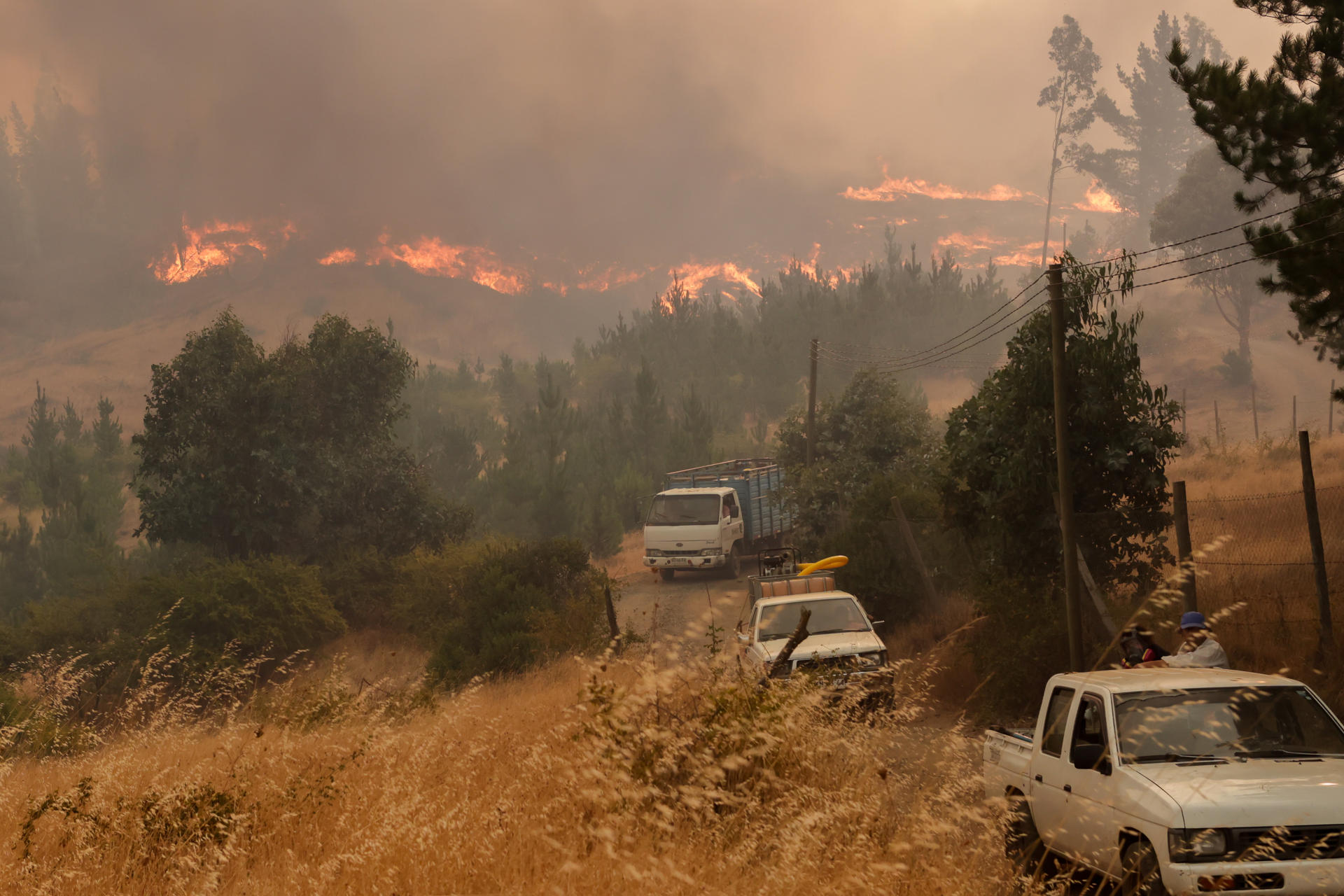 Vecinos evacúan, el 9 de febrero de 2023, por un incendio forestal en sector Rinconada de la comuna de Quillón, región de Ñuble (Chile). EFE/Esteban Paredes Drake