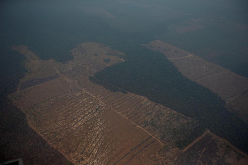 Vista aérea de áreas deforestadas de la selva amazónica de Porto Velho, Rondonia (Brasil), en una fotografía de archivo. EFE/Joédson Alves
