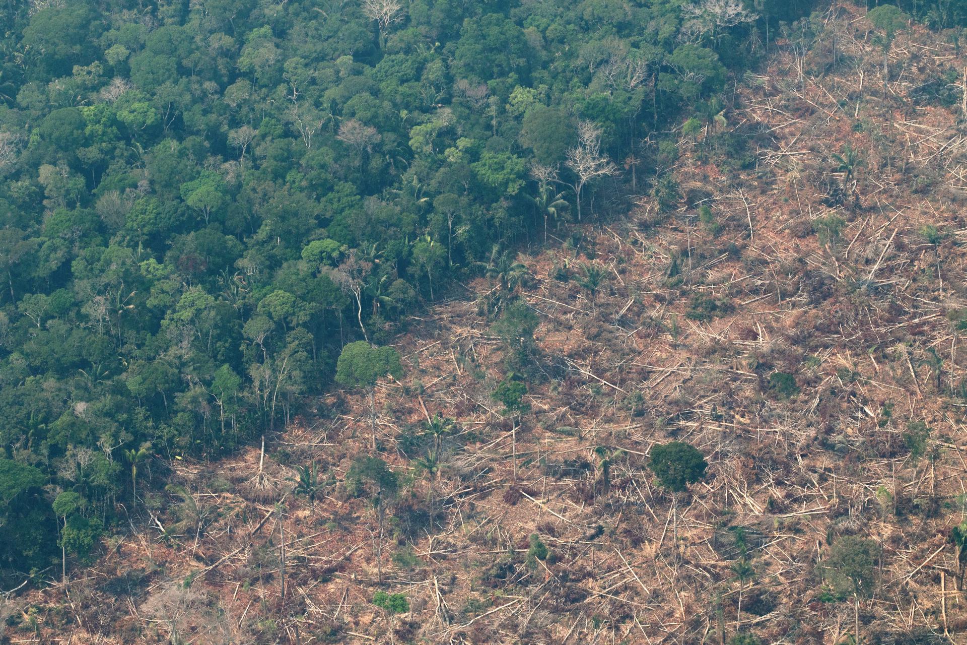 Vista aérea de áreas deforestadas de la selva amazónica de Porto Velho, Rondonia (Brasil), en una fotografía de archivo.EFE/ Joédson Alves
