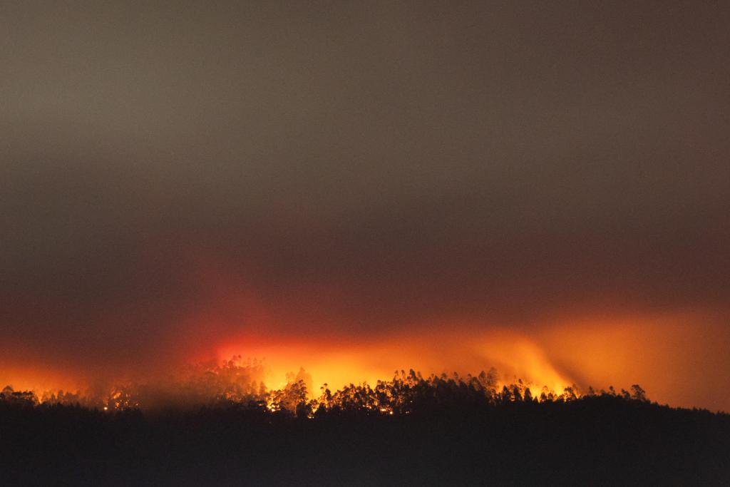 Fotografía de un incendio forestal en sector Dichato de la comuna de Tomé, Región del Biobío (Chile), el 10 de febrero de 2023. EFE/Esteban Paredes Drake
