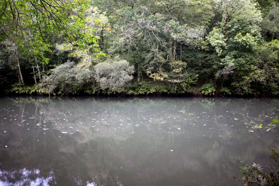 El río Eume a su paso por los concellos coruñeses de Cabanas y Pontedeume. Hoy se celebra el Día de los Ríos