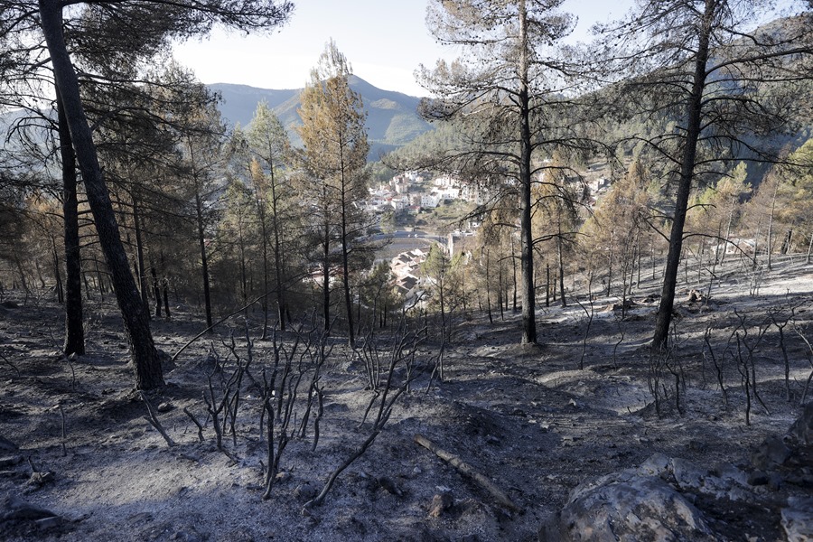 Siguen activos los fuegos de Castellón y Lugo, tras 6.100 hectáreas quemadas