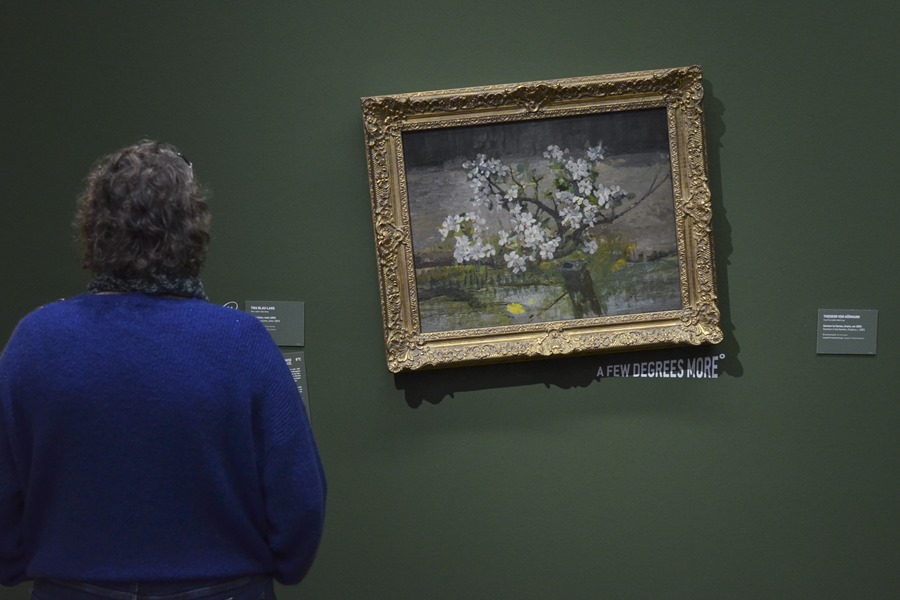 Obras maestras de Klimt o Schiele cuelgan en un ángulo equivocado de varios grados, en una exposición simbólica por el cambio climático, en Viena. 