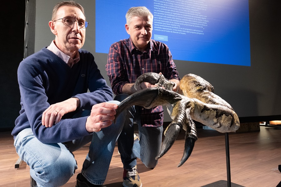 Los restos de un gran dinosaurio hallados en La Rioja avalan una nueva especie.