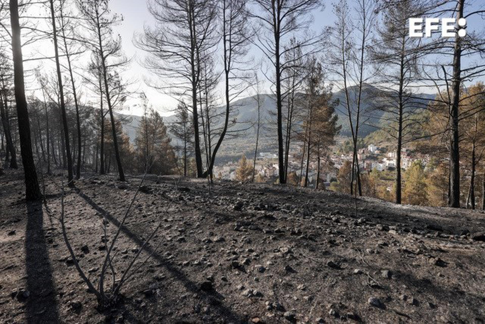 Monte calcinado en los alrededores de la localidad de Montán, a consecuencia del incendio iniciado en Villanueva de Viver. EFE/ Manuel Bruque