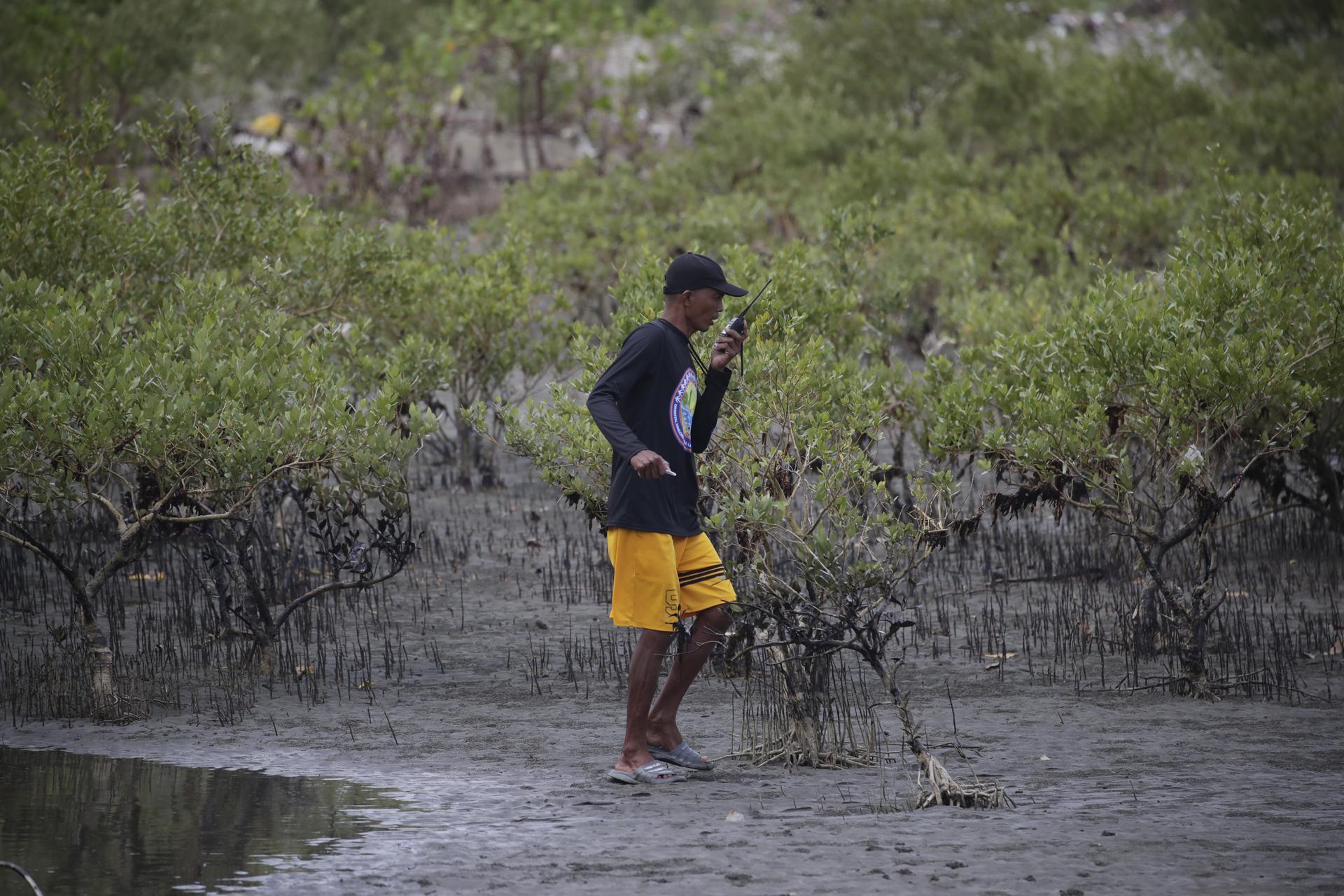 A village police officer walks past mangroves coated with black oil in the coastal town of Pola, Mindoro island, Philippines, 07 March 2023. EFE/EPA/FRANCIS R. MALASIG