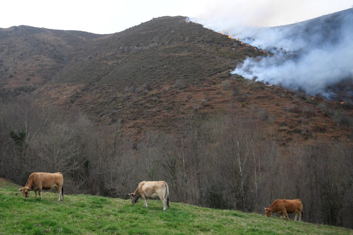 Imagen de archivo de un incendio forestal reciente en Asturias.
