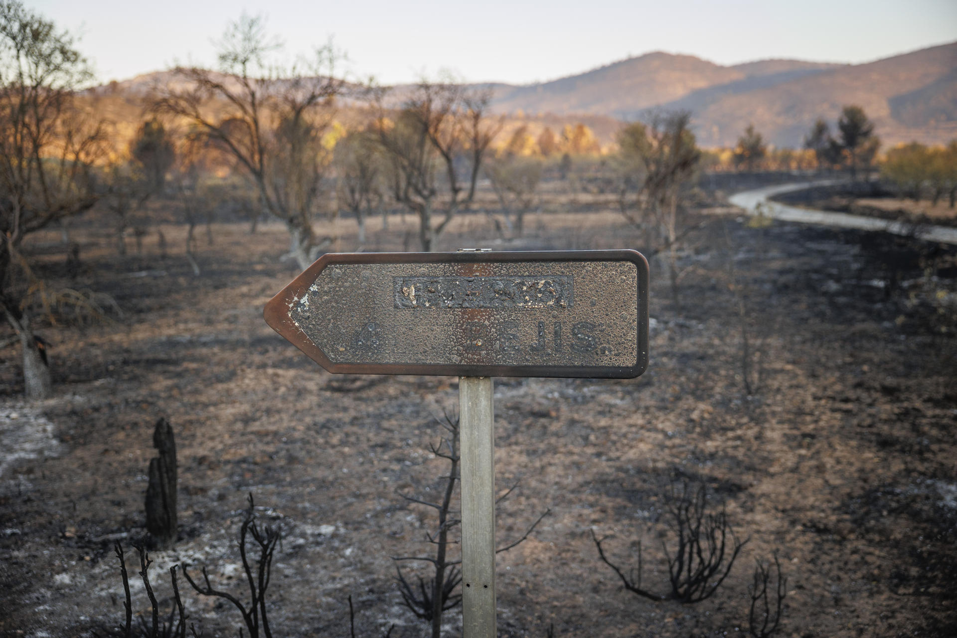 Imagen de archivo de un paisaje calcinado por el incendio forestal declarado en Bejís (Castellón). EFE/Biel Aliño